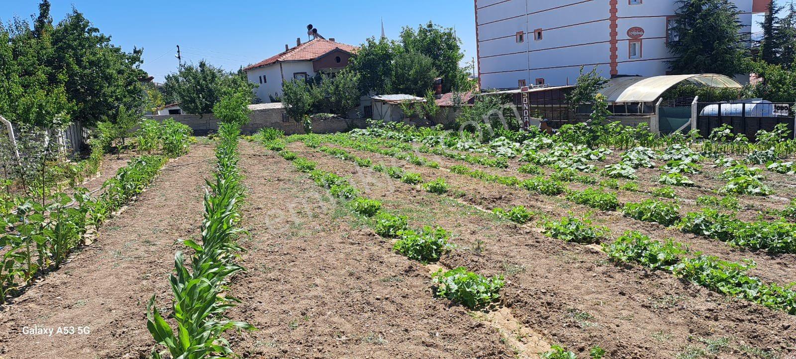 Güngör Emlaktan Ahmetefendi Mahallesinde Satılık Arsa - Görsel 16