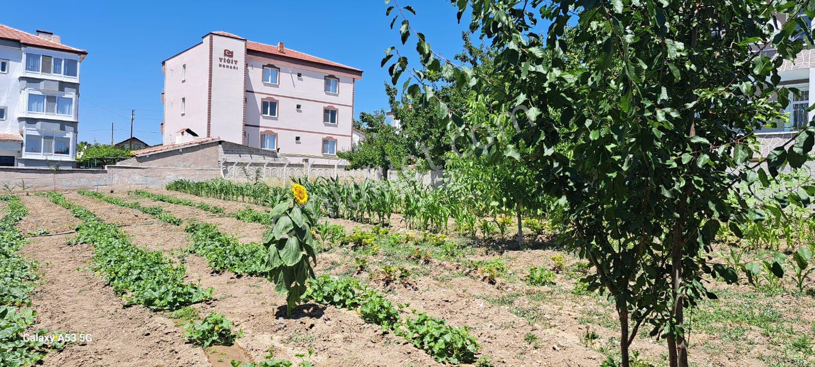 Güngör Emlaktan Ahmetefendi Mahallesinde Satılık Arsa - Görsel 29
