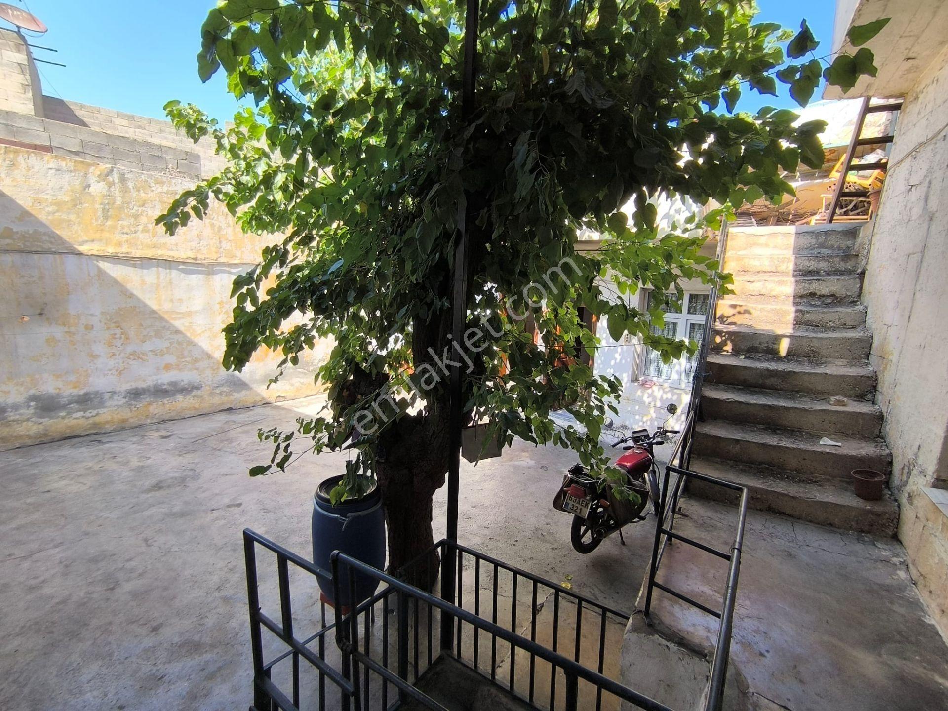 Arap Meydanı'nda Kuyulu Ve Zerzembeli Satılık Müstakil Eski Urfa Evi - Görsel 7