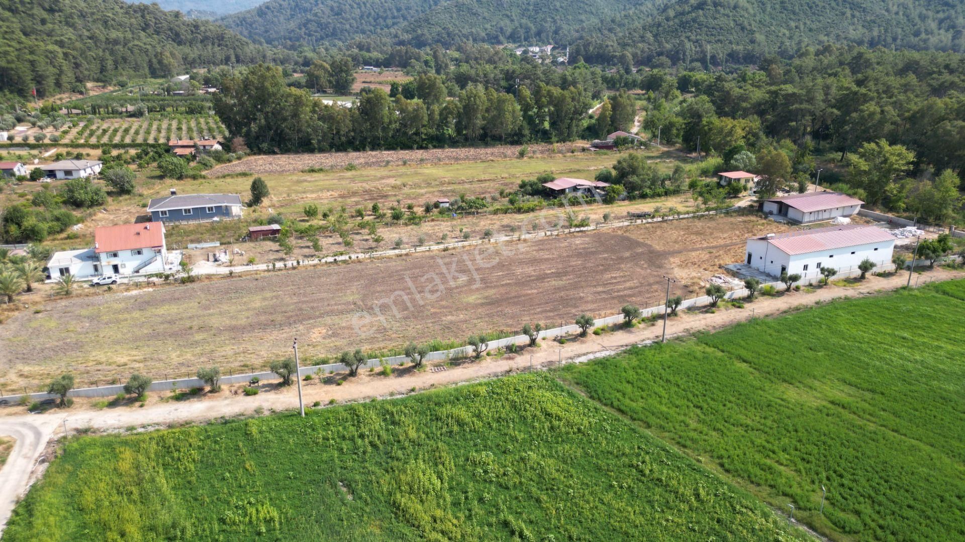 Marmaris Çamlı'da Satılık 4.155 M2 Arsa İçinde Çiftlik Evi - Görsel 9