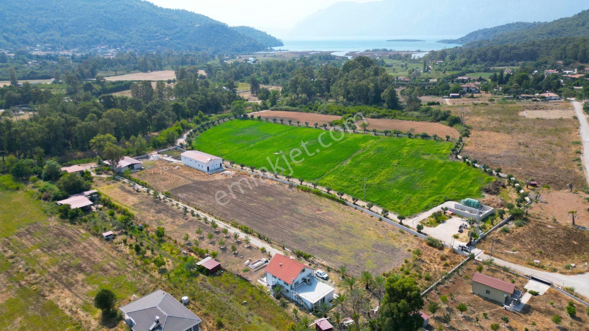 Marmaris Çamlı'da Satılık 4.155 M2 Arsa İçinde Çiftlik Evi - Görsel 7