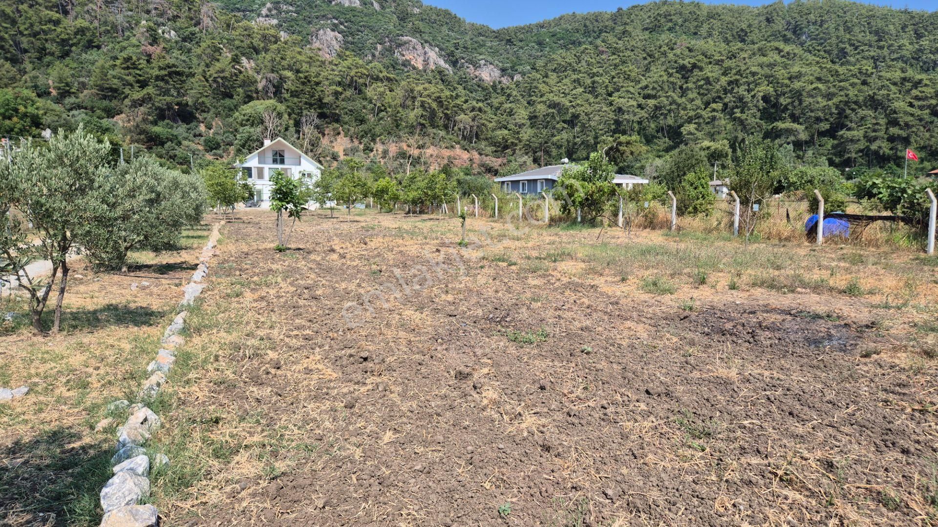 Marmaris Çamlı'da Satılık 4.155 M2 Arsa İçinde Çiftlik Evi - Görsel 32