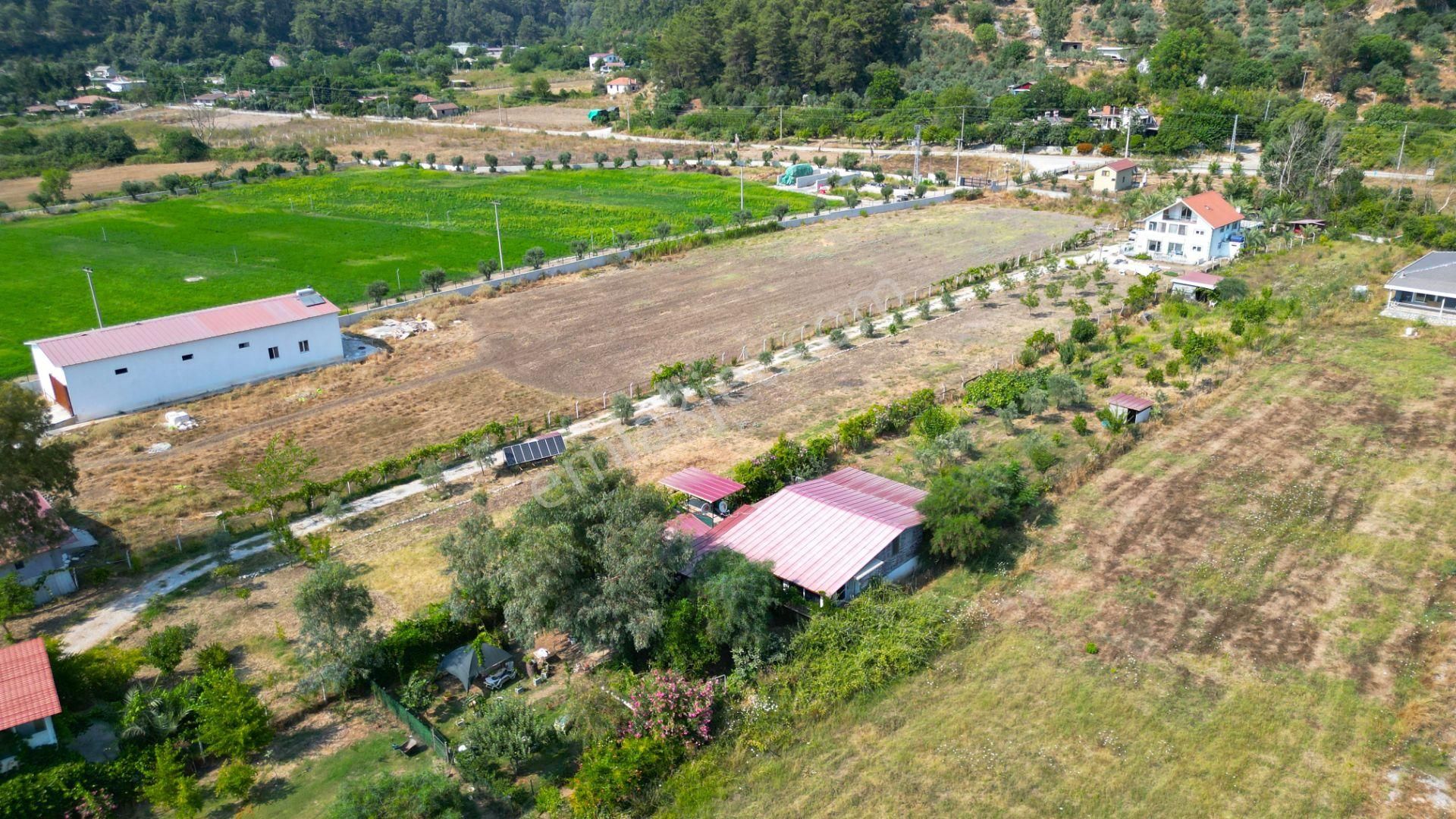 Marmaris Çamlı'da Satılık 4.155 M2 Arsa İçinde Çiftlik Evi - Görsel 5