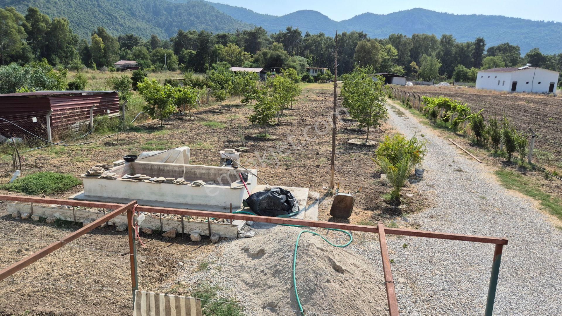 Marmaris Çamlı'da Satılık 4.155 M2 Arsa İçinde Çiftlik Evi - Görsel 25