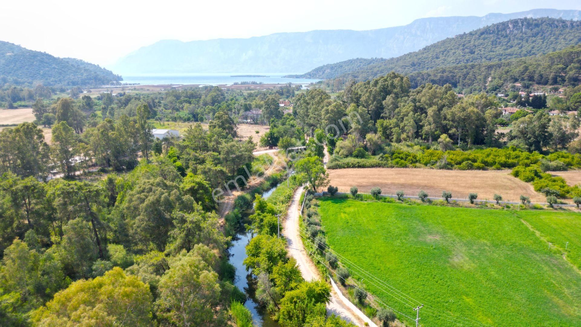 Marmaris Çamlı'da Satılık 4.155 M2 Arsa İçinde Çiftlik Evi - Görsel 24