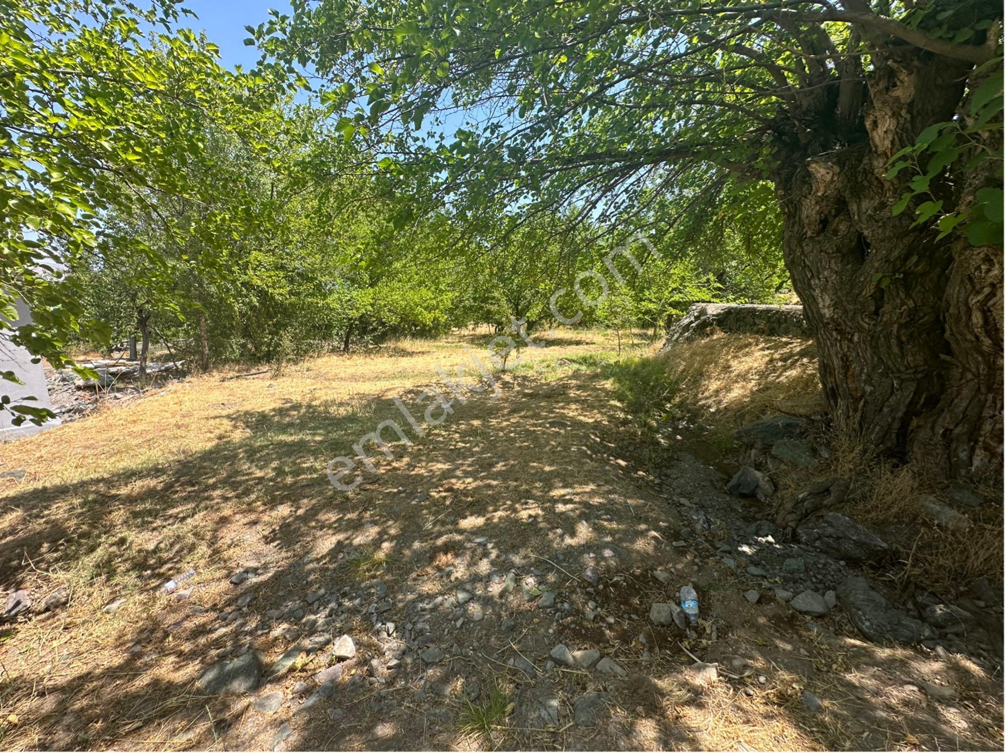 Furkan Doğan’dan Kale Bent’de Toki Yakının’da 3.900m2 Satılık Tarla - Görsel 6