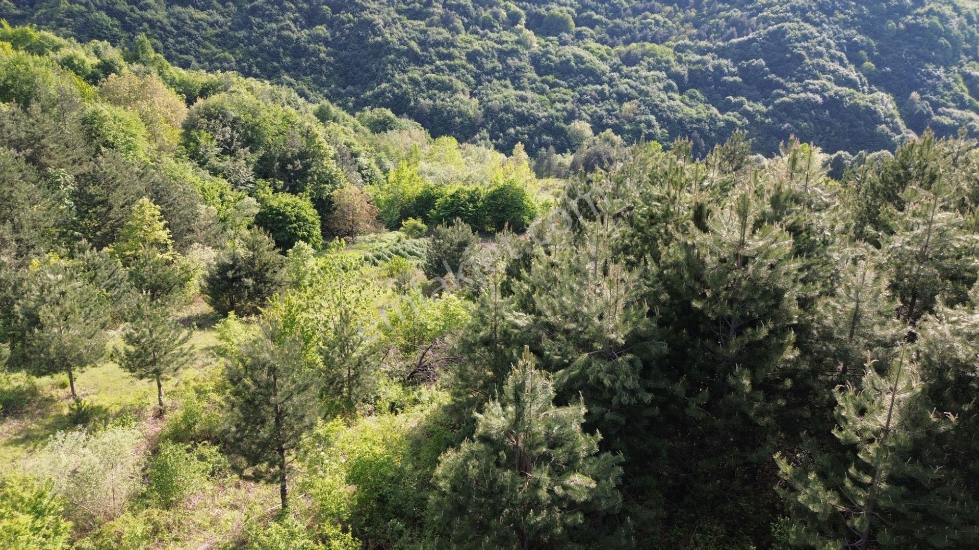 Bursa Kestel Lütfiye Mah. Satılık Tek Tapulu Uygun Tarla - Görsel 10