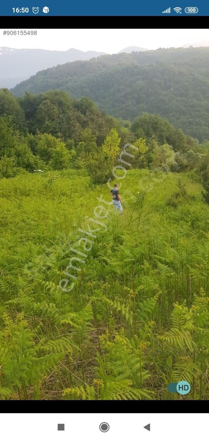 Bursa Kestel Lütfiye Mah. Satılık Tek Tapulu Uygun Tarla - Görsel 15