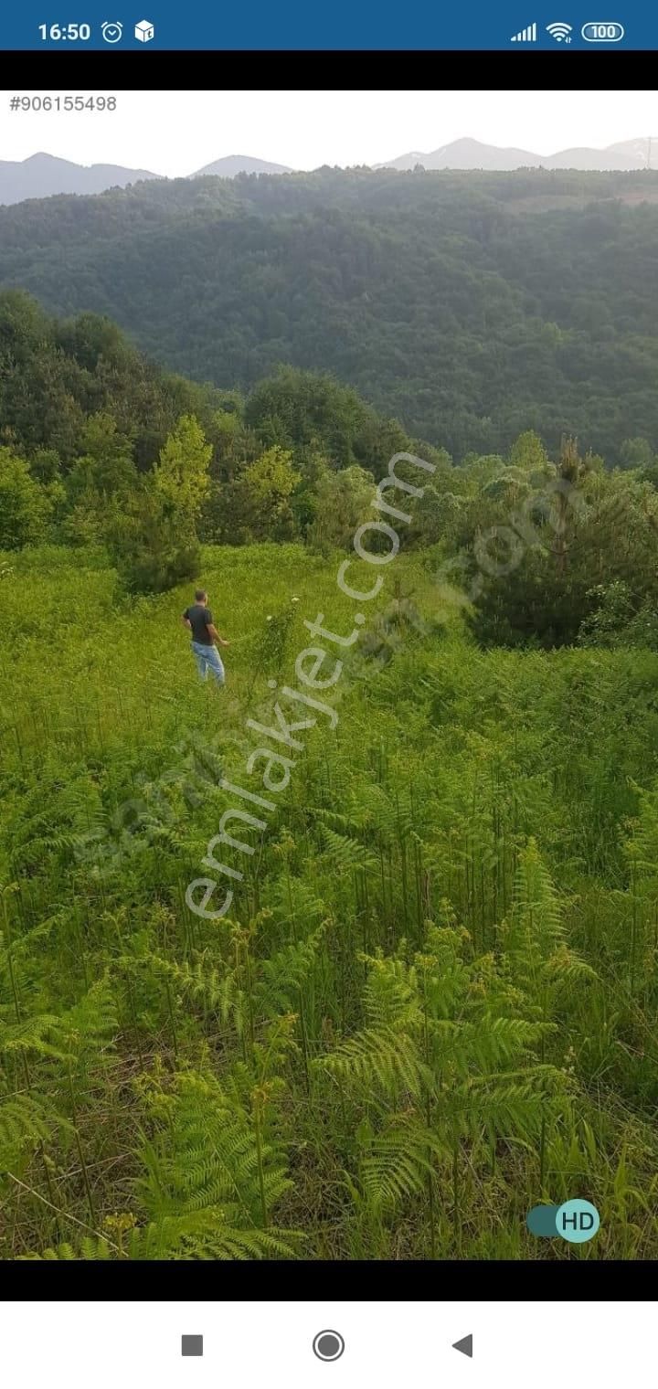 Bursa Kestel Lütfiye Mah. Satılık Tek Tapulu Uygun Tarla - Görsel 16