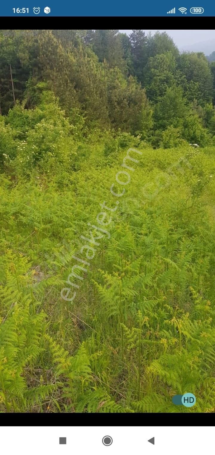 Bursa Kestel Lütfiye Mah. Satılık Tek Tapulu Uygun Tarla - Görsel 22