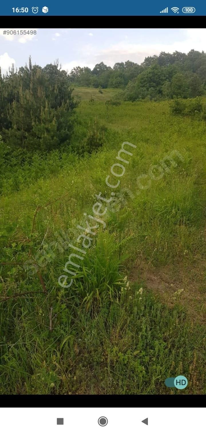 Bursa Kestel Lütfiye Mah. Satılık Tek Tapulu Uygun Tarla - Görsel 13