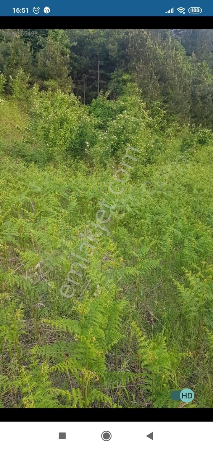 Bursa Kestel Lütfiye Mah. Satılık Tek Tapulu Uygun Tarla - Görsel 18