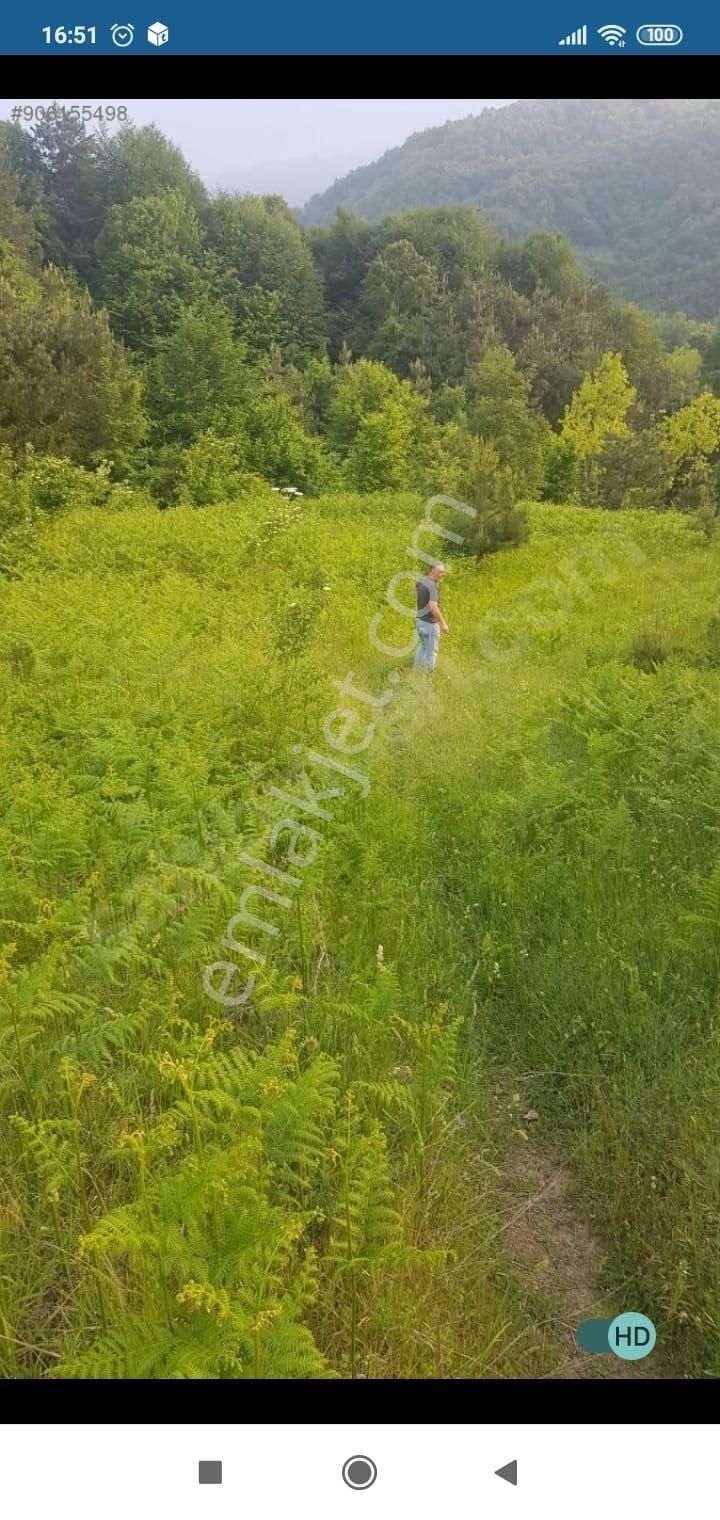 Bursa Kestel Lütfiye Mah. Satılık Tek Tapulu Uygun Tarla - Görsel 20