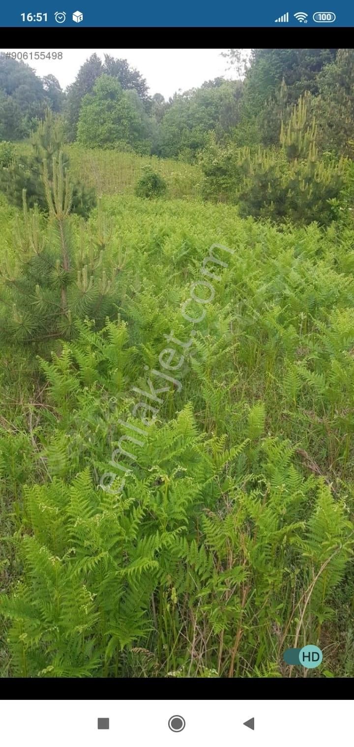 Bursa Kestel Lütfiye Mah. Satılık Tek Tapulu Uygun Tarla - Görsel 23