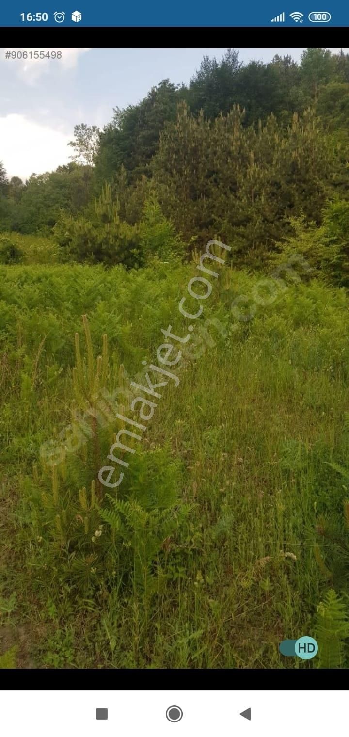 Bursa Kestel Lütfiye Mah. Satılık Tek Tapulu Uygun Tarla - Görsel 14