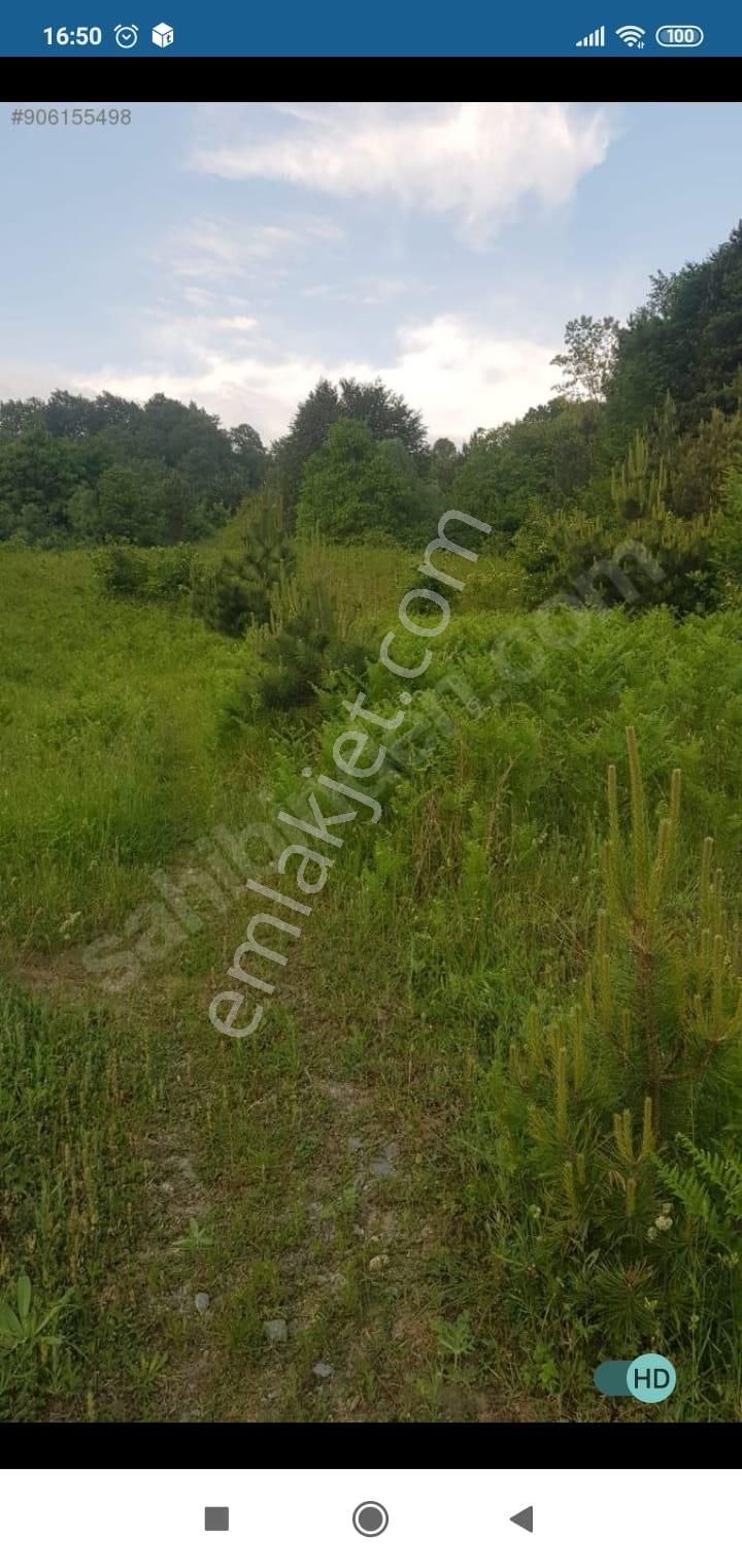 Bursa Kestel Lütfiye Mah. Satılık Tek Tapulu Uygun Tarla - Görsel 17