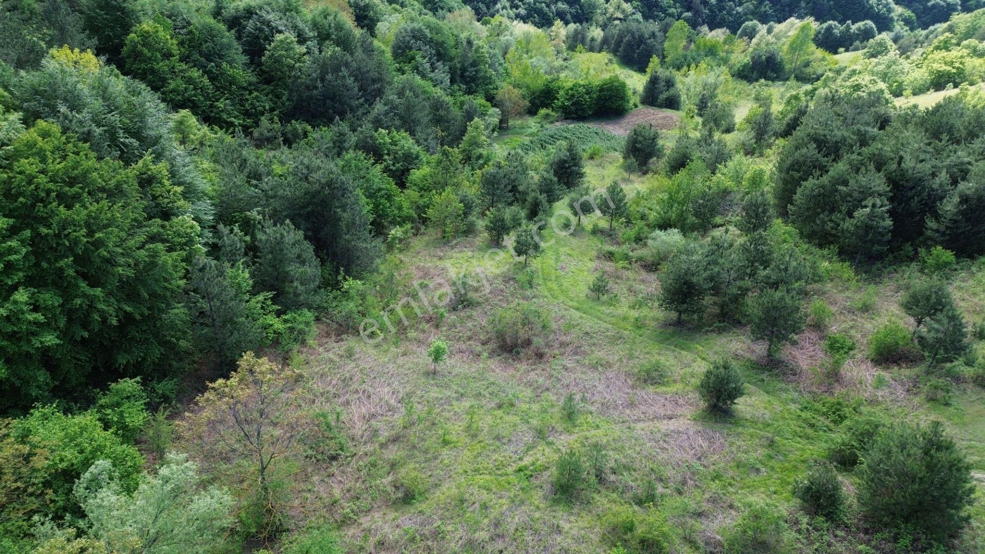 Bursa Kestel Lütfiye Mah. Satılık Tek Tapulu Uygun Tarla - Görsel 2