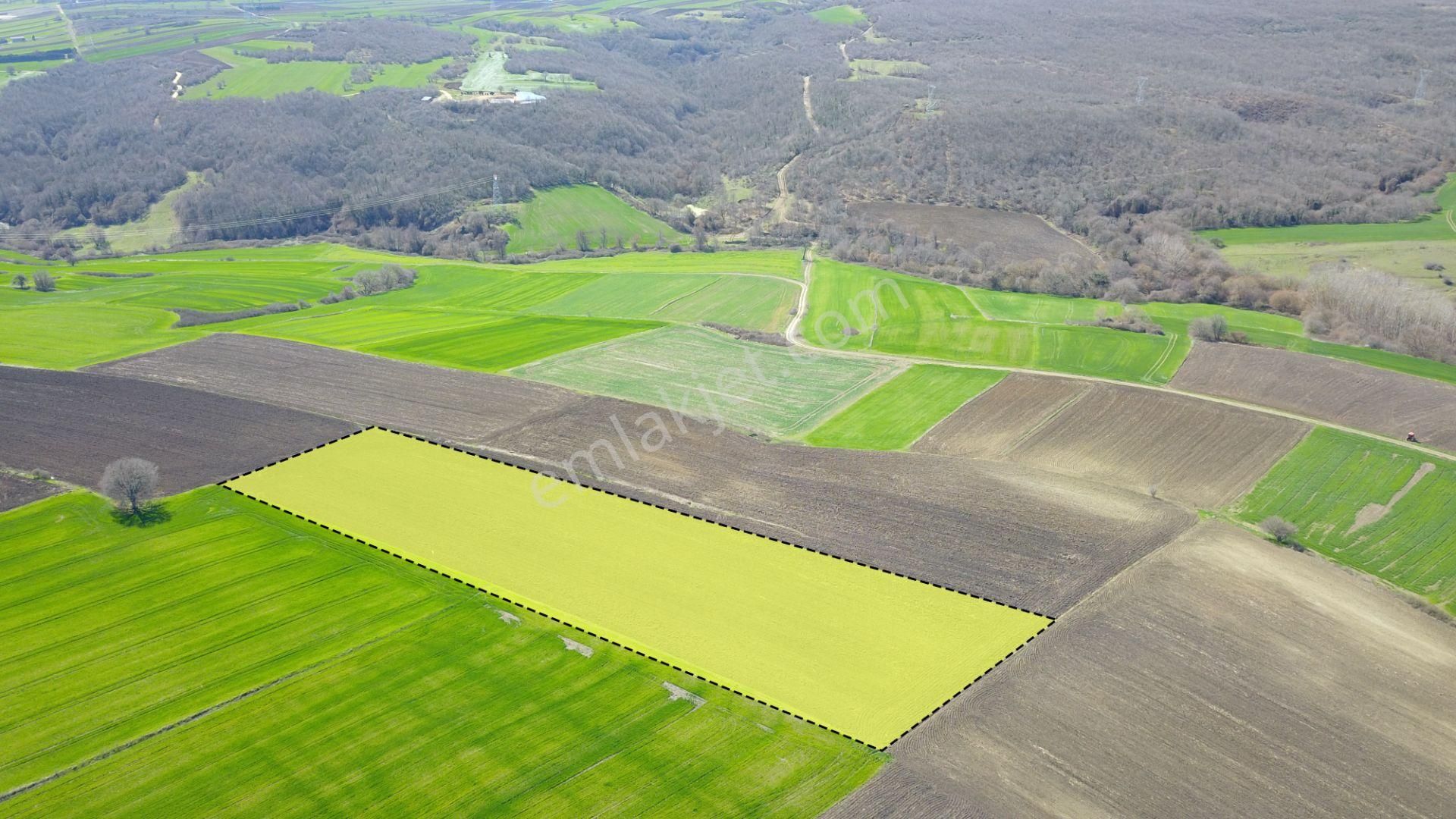 Ege Gayrimenkulden Silivri Büyük Sinekli'de 12.600 Metrekare Tarla
