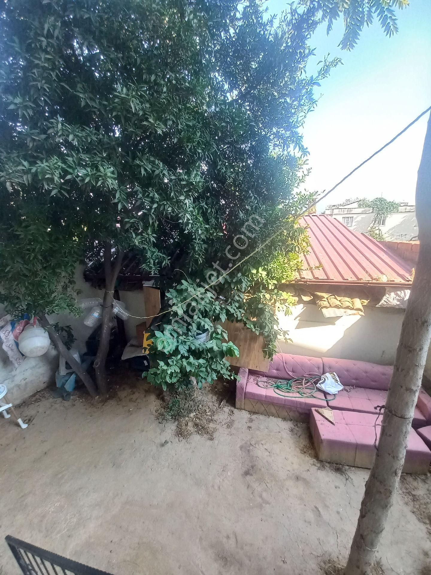 Doğru Emlak'tan Satılık Müstakıl Ev - Görsel 22