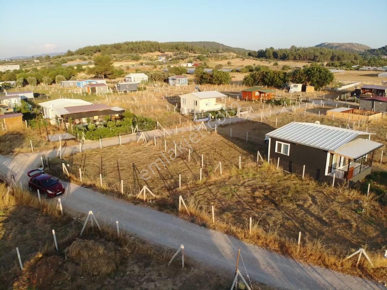 Değirmendere Köyünde; Net 220 M2/ Elektrik-suyu Aktif /köşe Başı /satılık Bahçe - Görsel 10
