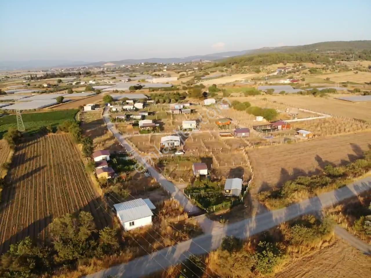 Değirmendere Köyünde; Net 220 M2/ Elektrik-suyu Aktif /köşe Başı /satılık Bahçe - Görsel 27