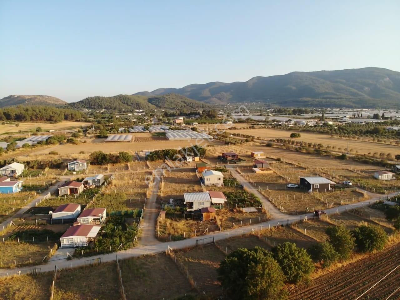 Değirmendere Köyünde; Net 220 M2/ Elektrik-suyu Aktif /köşe Başı /satılık Bahçe - Görsel 21