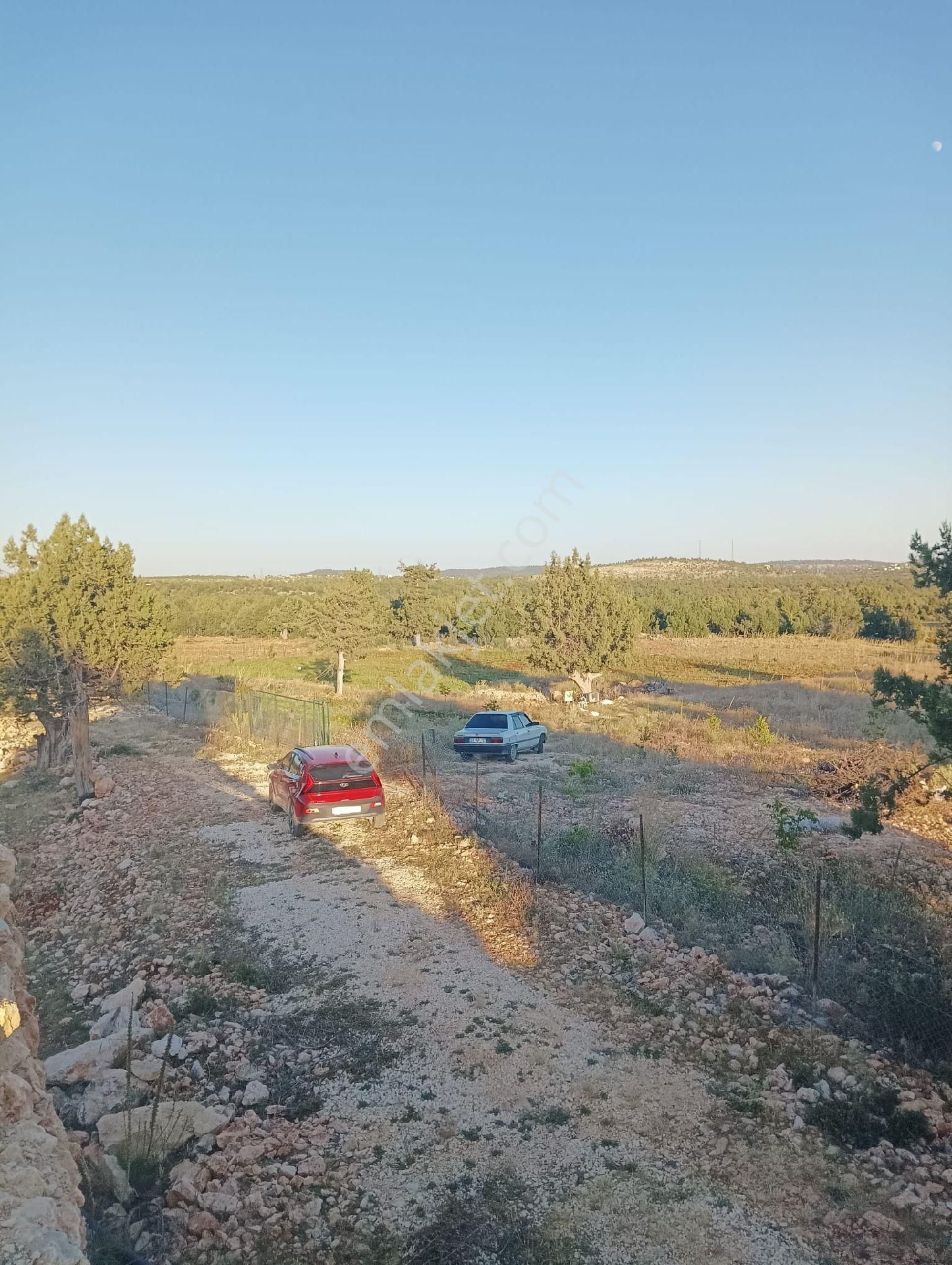 Erdemli Güzeloluk (karatesbih) Mah'de Satılık Ceviz Bahçesi