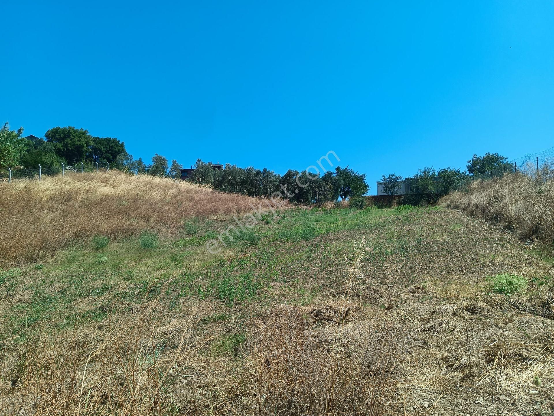 Bursa Karacabey Hayırlar Mhde Villalık Satılık Arsa - Görsel 25