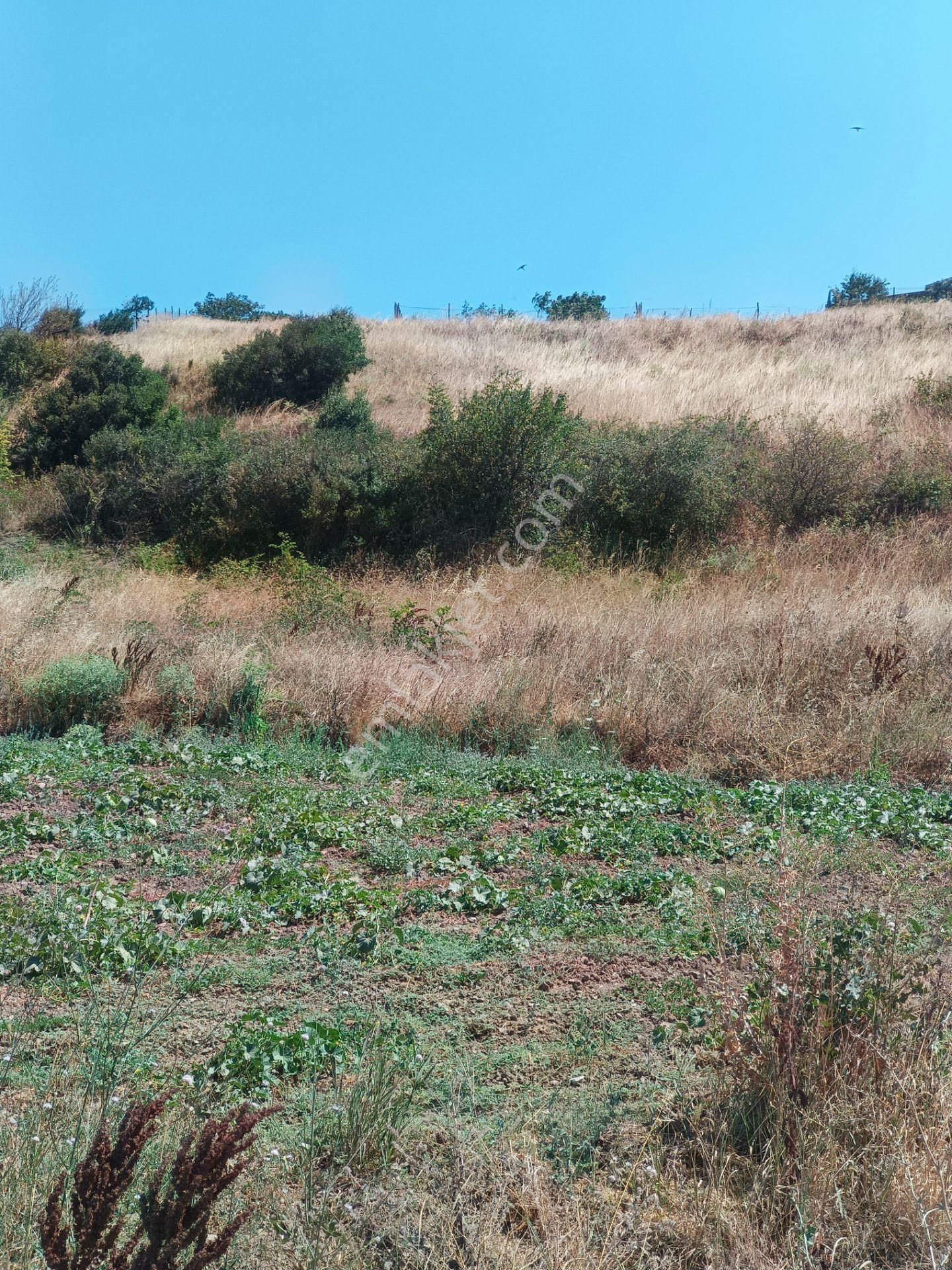 Bursa Karacabey Hayırlar Mhde Villalık Satılık Arsa