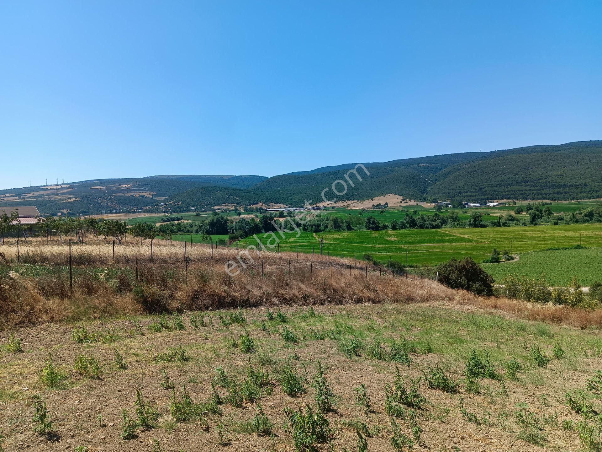 Bursa Karacabey Hayırlar Mhde Villalık Satılık Arsa - Görsel 31