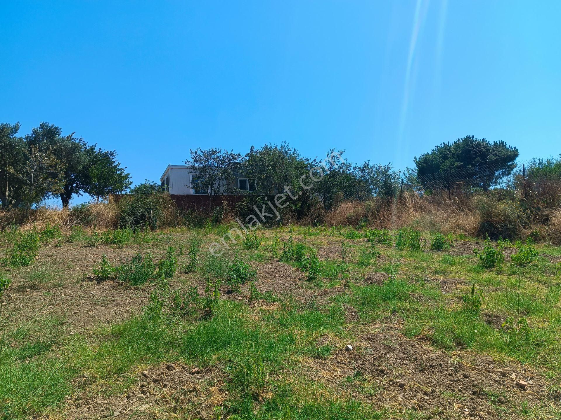 Bursa Karacabey Hayırlar Mhde Villalık Satılık Arsa - Görsel 32