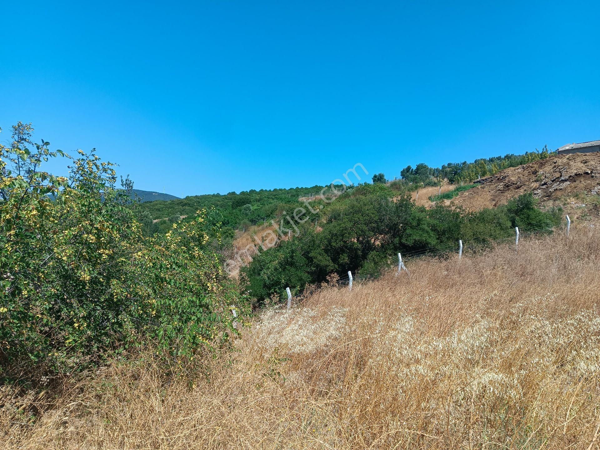 Bursa Karacabey Hayırlar Mhde Villalık Satılık Arsa - Görsel 24