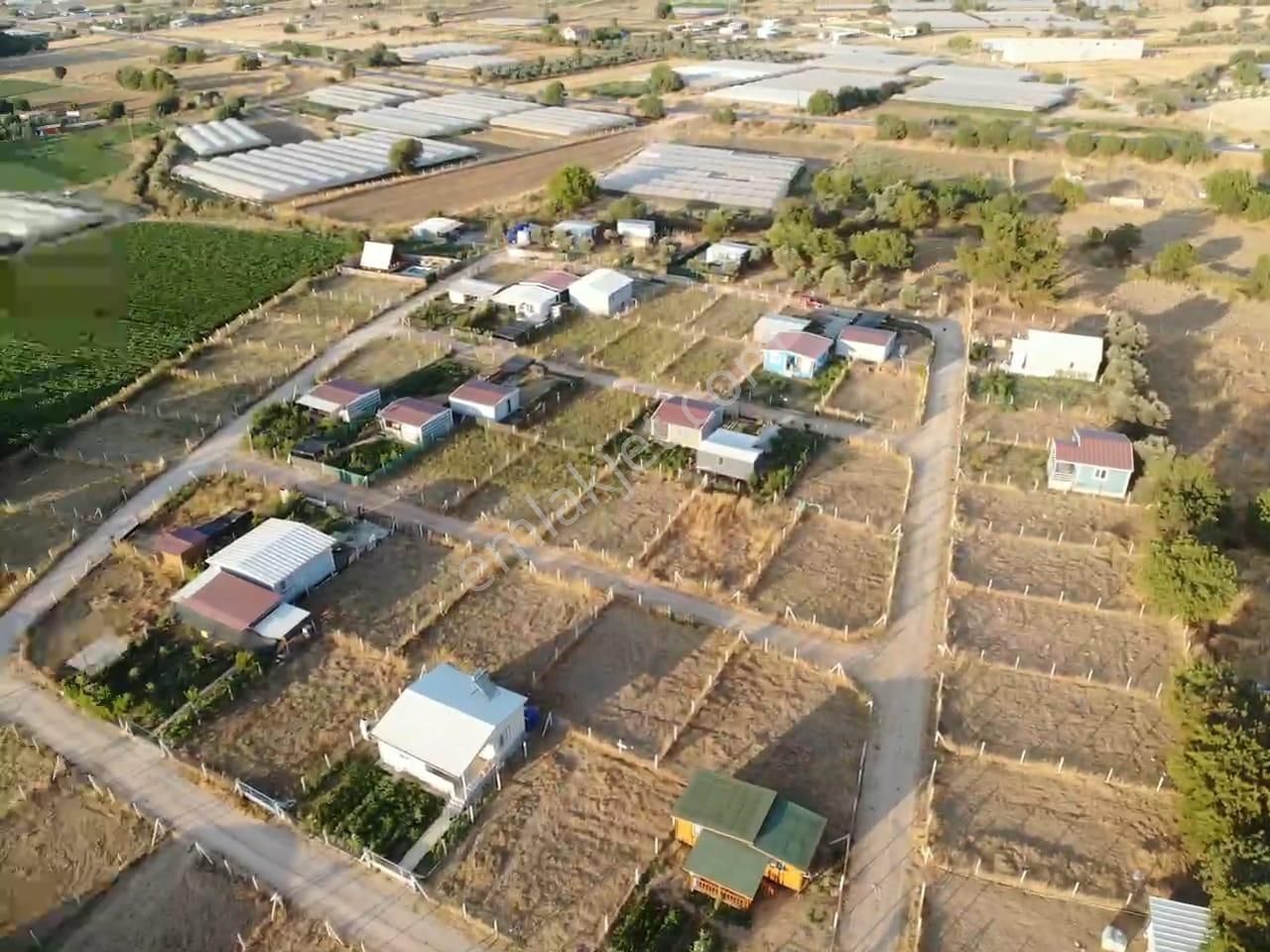 Değirmendere Köyünde; Net 220 M2 / Elektrik Ve Suyu Aktif / Mahalle Havasında Satılık Bahçe - Görsel 8