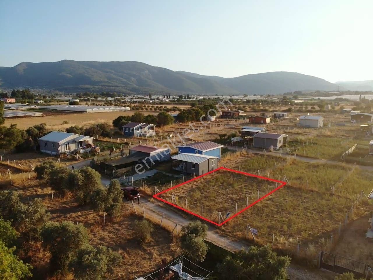 Değirmendere Köyünde; Net 220 M2 / Elektrik Ve Suyu Aktif / Mahalle Havasında Satılık Bahçe - Görsel 11