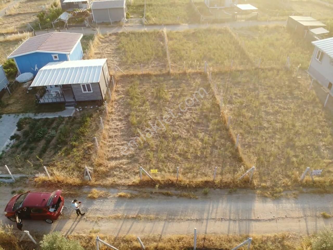 Değirmendere Köyünde; Net 220 M2 / Elektrik Ve Suyu Aktif / Mahalle Havasında Satılık Bahçe - Görsel 4