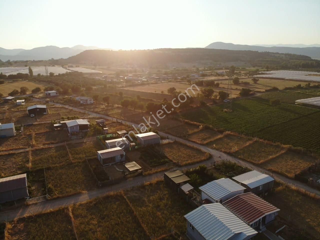 Değirmendere Köyünde; Net 220 M2 / Elektrik Ve Suyu Aktif / Mahalle Havasında Satılık Bahçe - Görsel 18