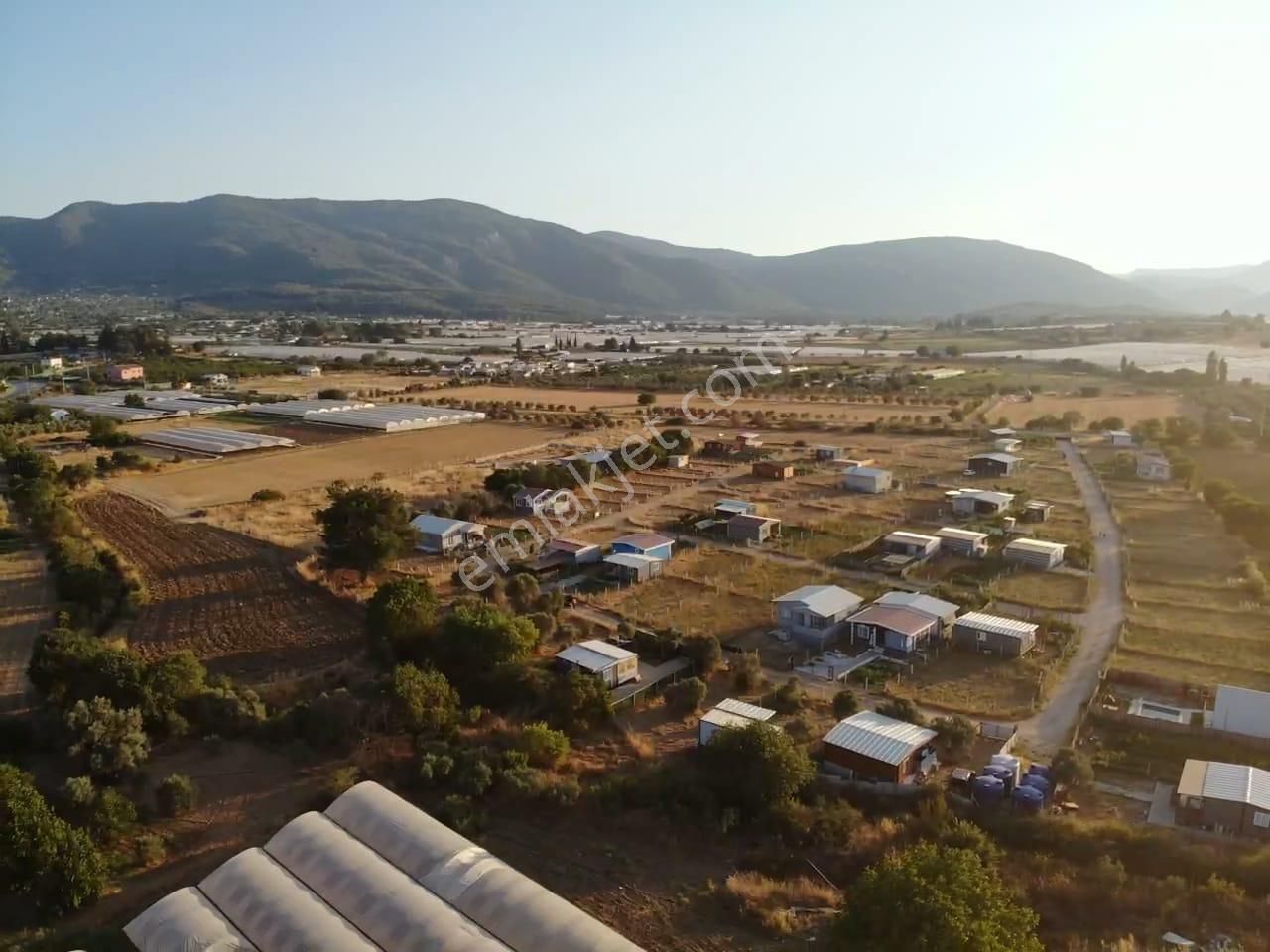 Değirmendere Köyünde; Net 220 M2 / Elektrik Ve Suyu Aktif / Mahalle Havasında Satılık Bahçe - Görsel 31