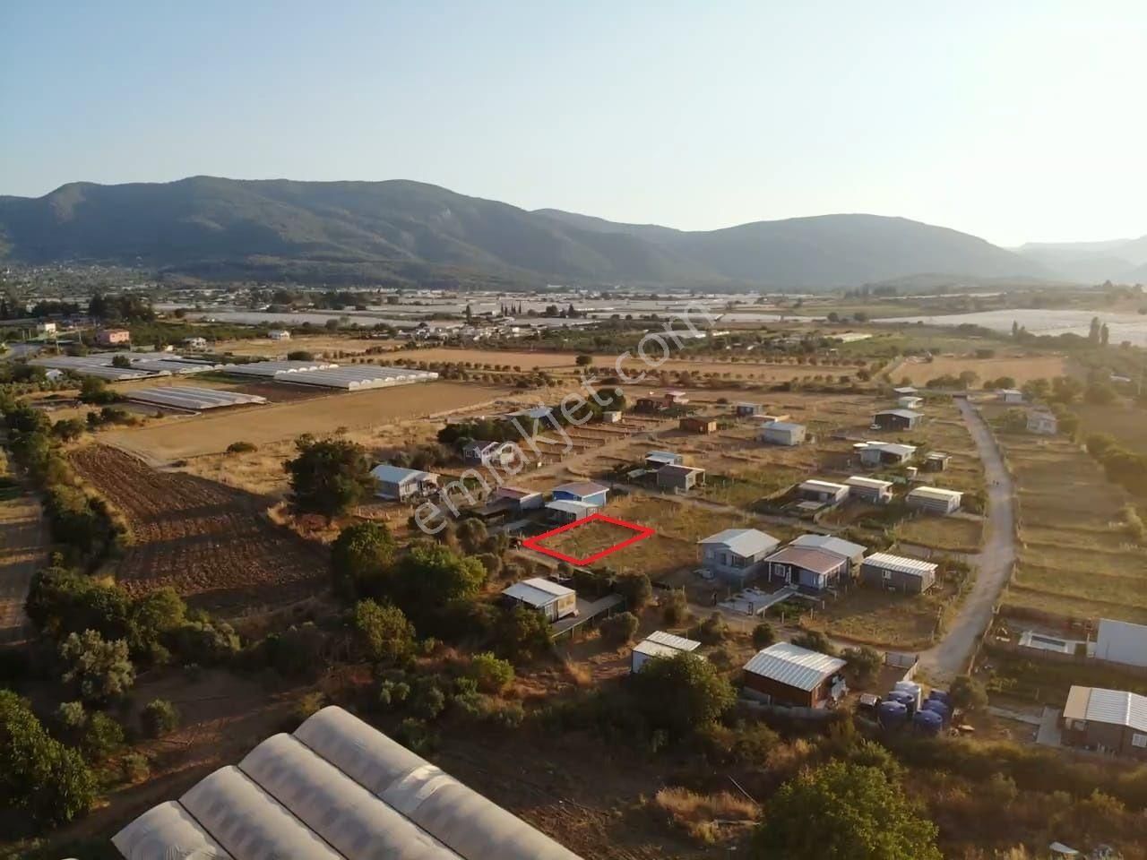 Değirmendere Köyünde; Net 220 M2 / Elektrik Ve Suyu Aktif / Mahalle Havasında Satılık Bahçe - Görsel 30