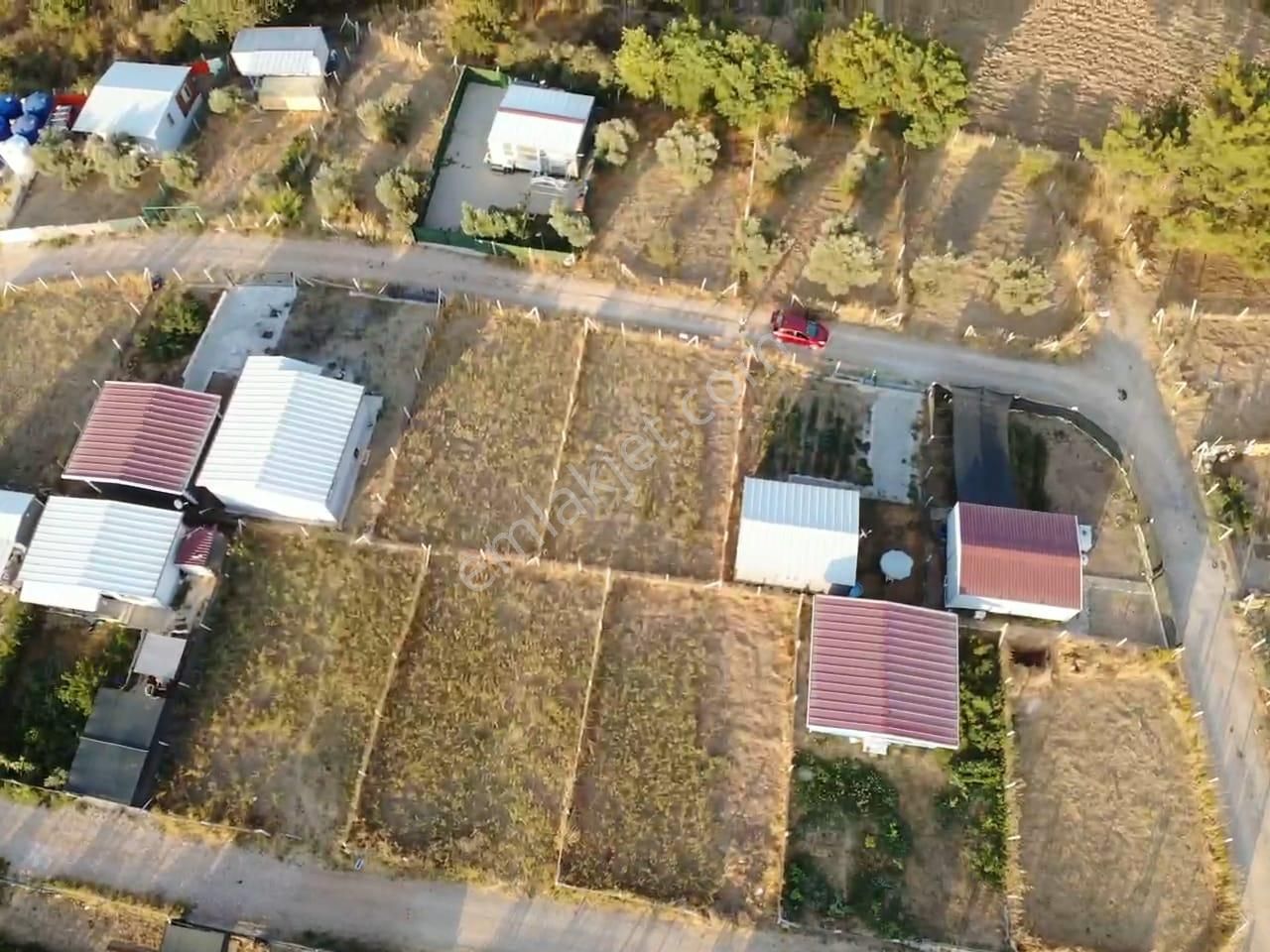 Değirmendere Köyünde; Net 220 M2 / Elektrik Ve Suyu Aktif / Mahalle Havasında Satılık Bahçe - Görsel 6