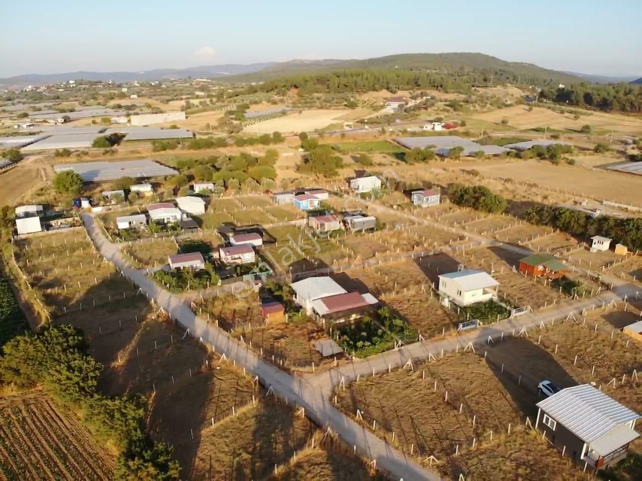 Değirmendere Köyünde; Net 220 M2 / Elektrik Ve Suyu Aktif / Mahalle Havasında Satılık Bahçe - Görsel 21