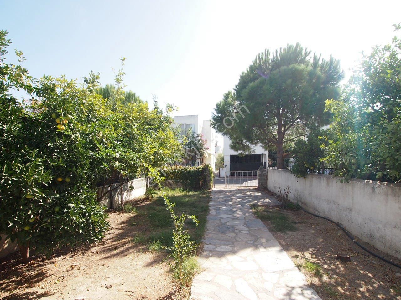 Bitezde Satılık Denize 200 Metre Villa Büyük Bahçeli Bulunmaz Ev - Görsel 14