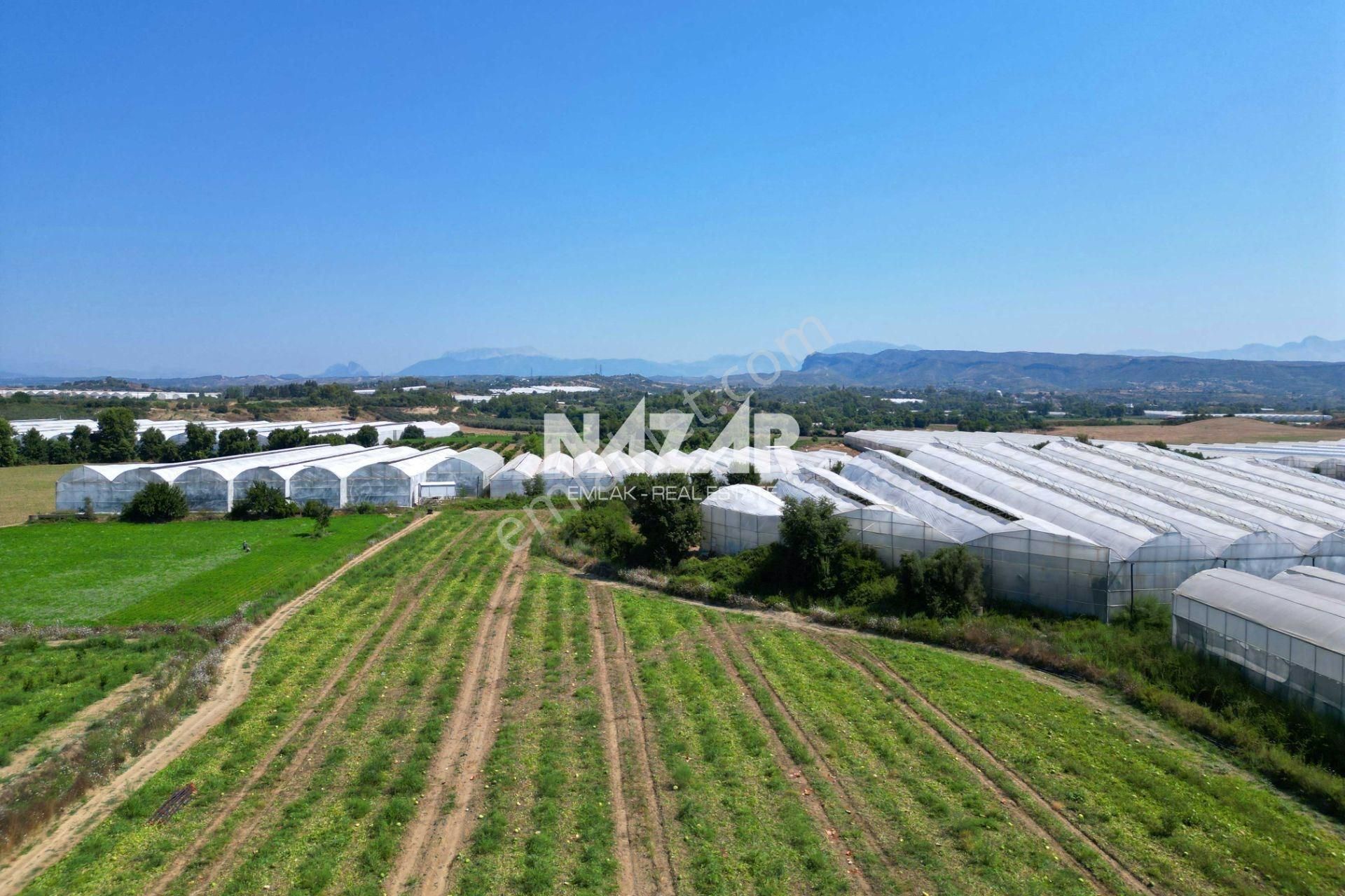 Manavgat Yavrudoğan'da 6.865 M² Satılık Tarla - Görsel 12