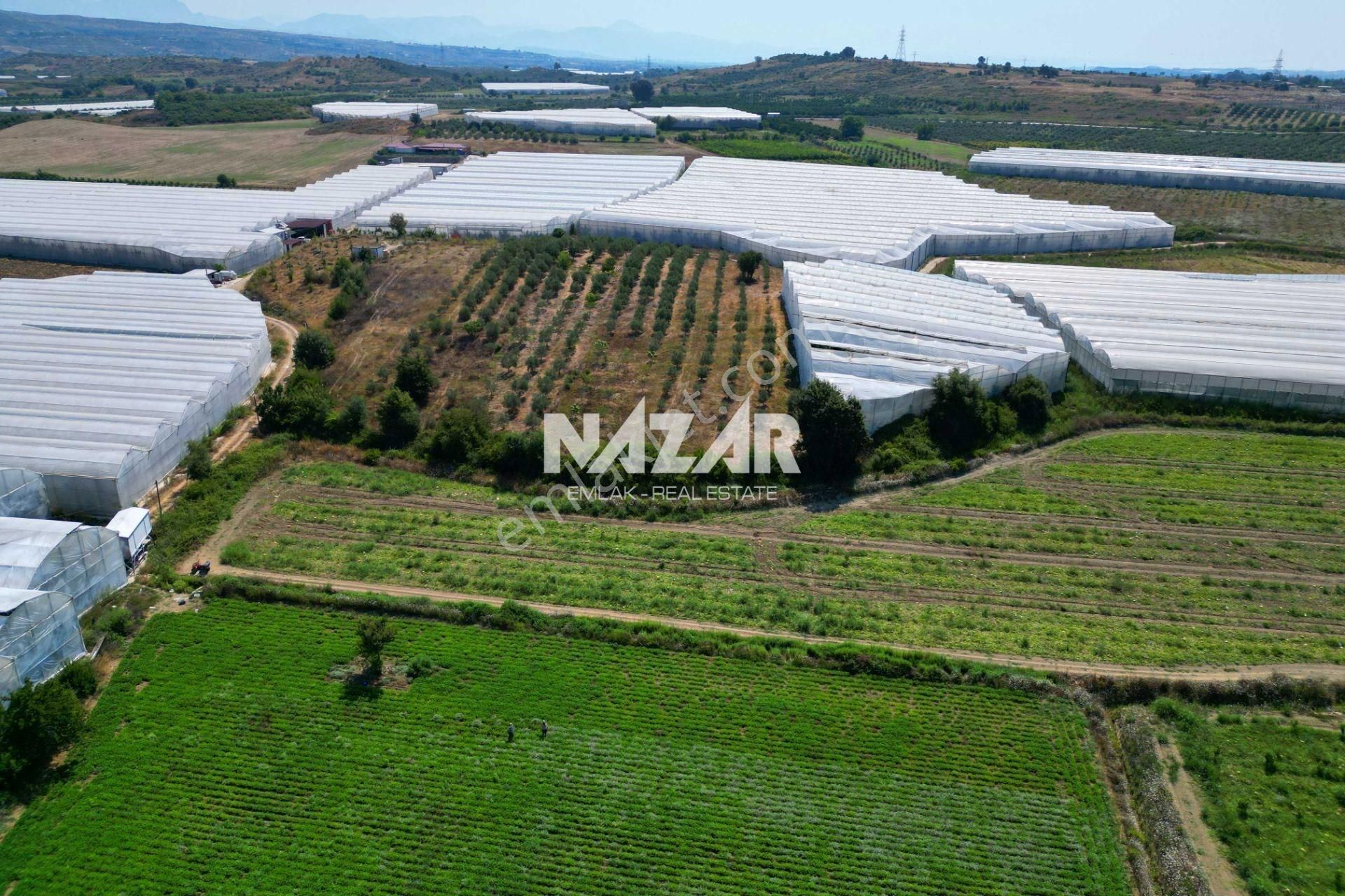 Manavgat Yavrudoğan'da 6.865 M² Satılık Tarla - Görsel 11