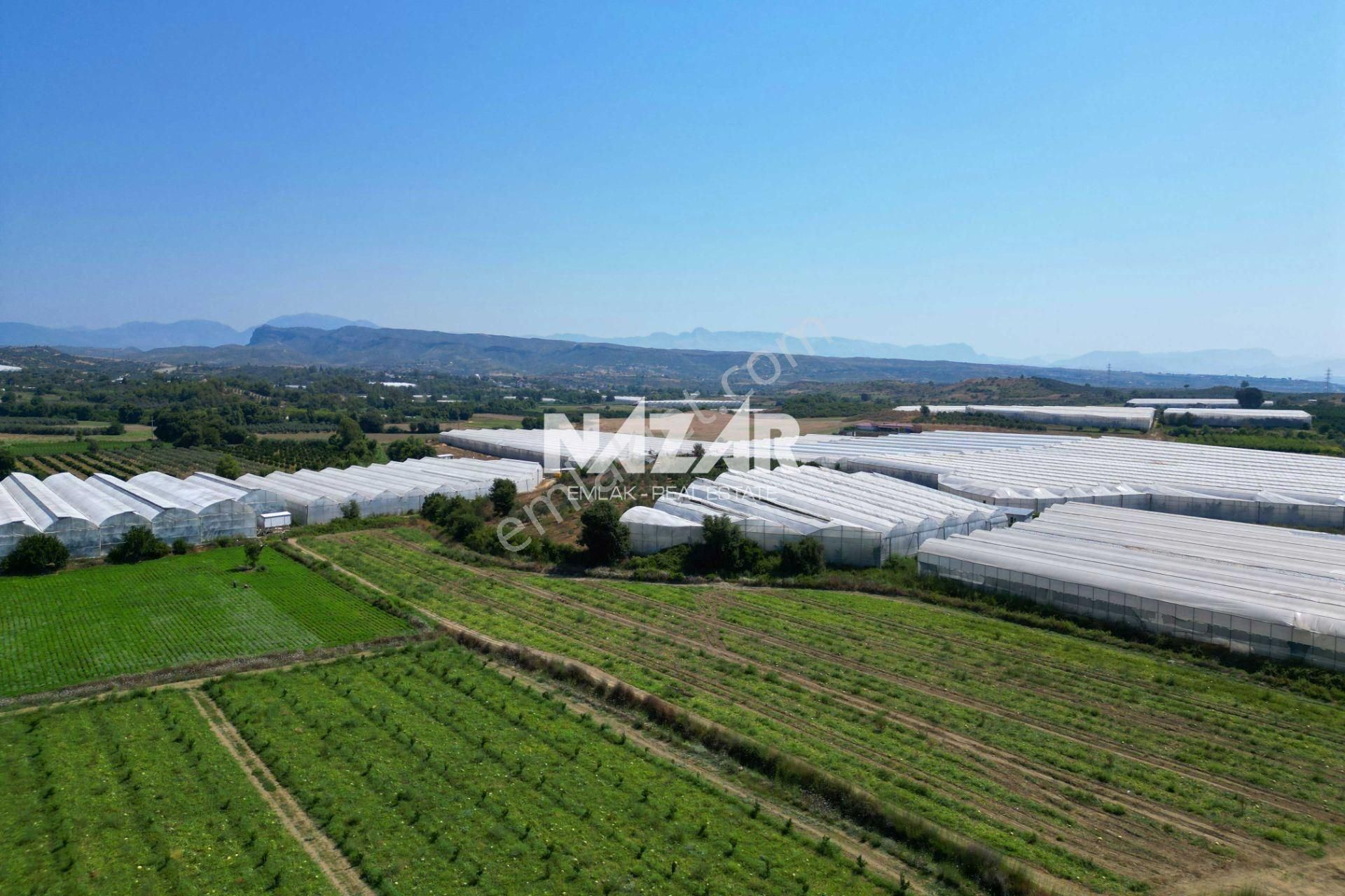 Manavgat Yavrudoğan'da 6.865 M² Satılık Tarla - Görsel 13