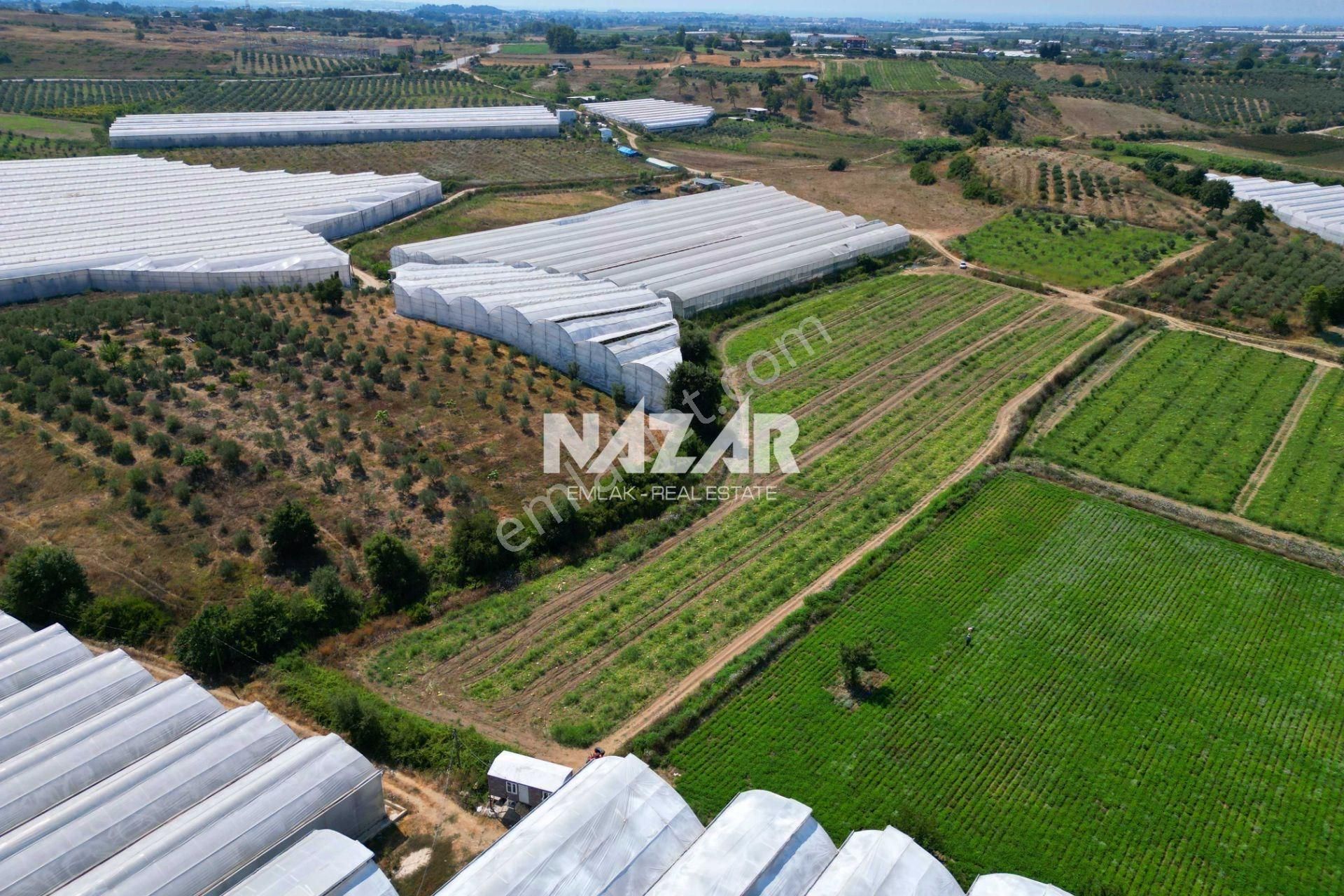 Manavgat Yavrudoğan'da 6.865 M² Satılık Tarla - Görsel 9