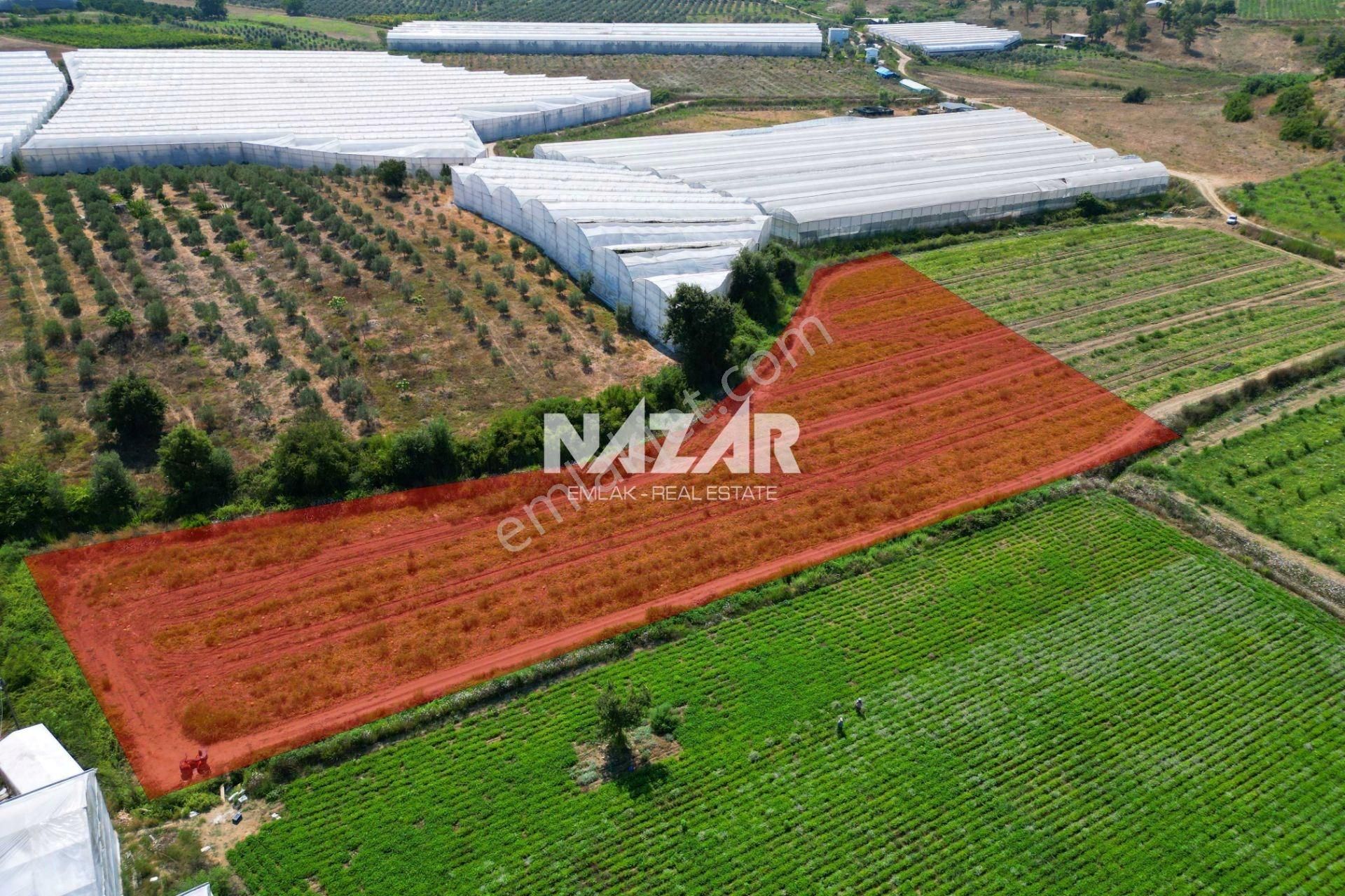 Manavgat Yavrudoğan'da 6.865 M² Satılık Tarla - Görsel 5