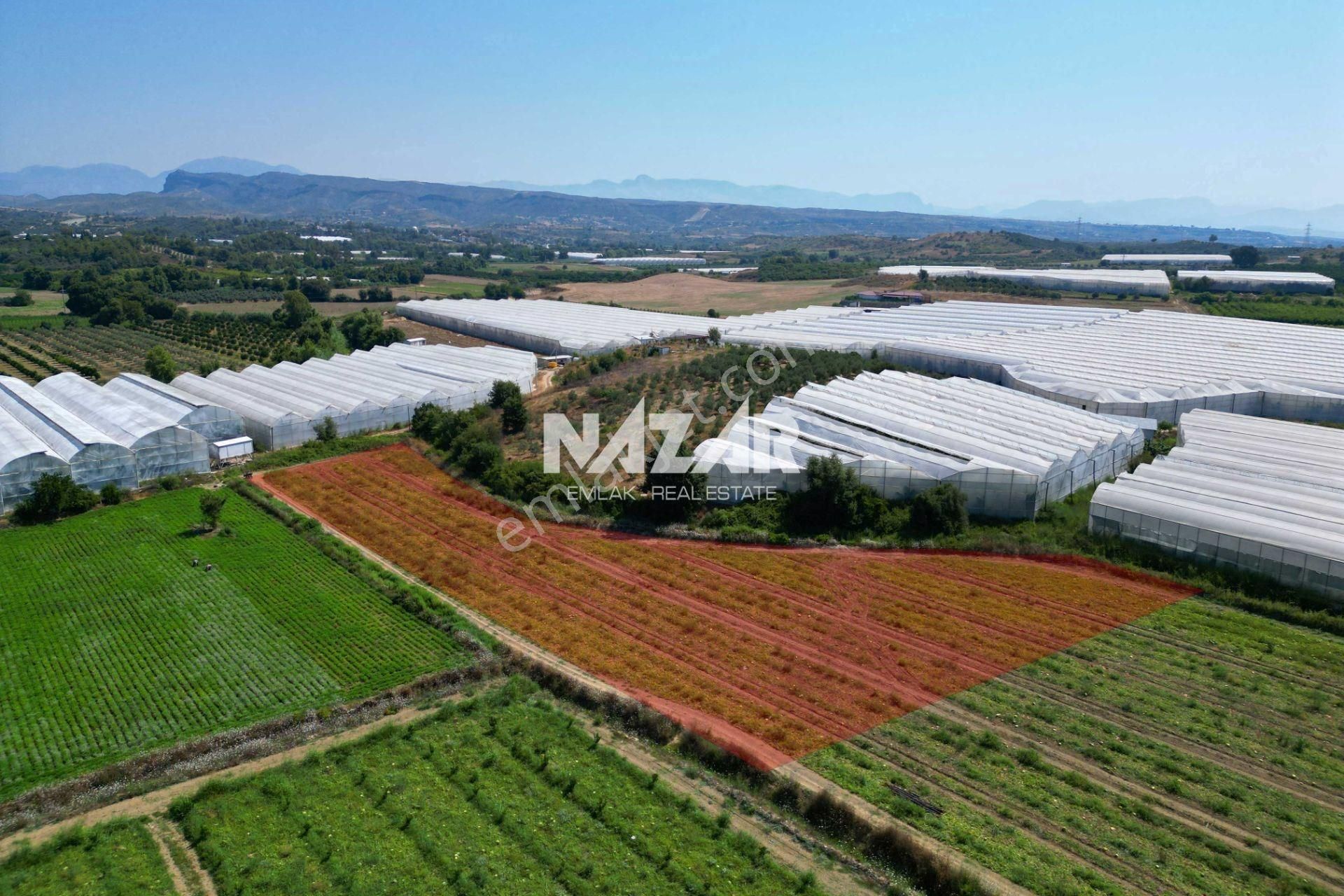 Manavgat Yavrudoğan'da 6.865 M² Satılık Tarla - Görsel 4