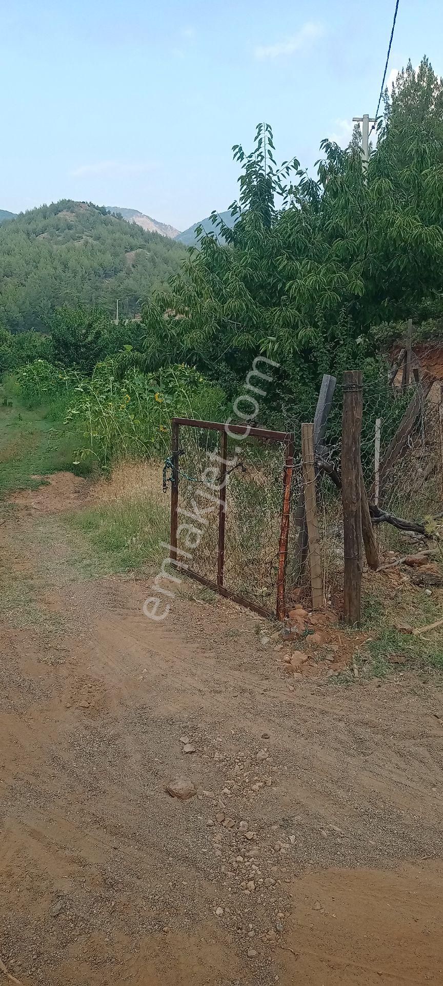 Muğla Dalaman Gürleyik Satılık Müstakil Kiraz Bahçesi Ve Ev - Görsel 18