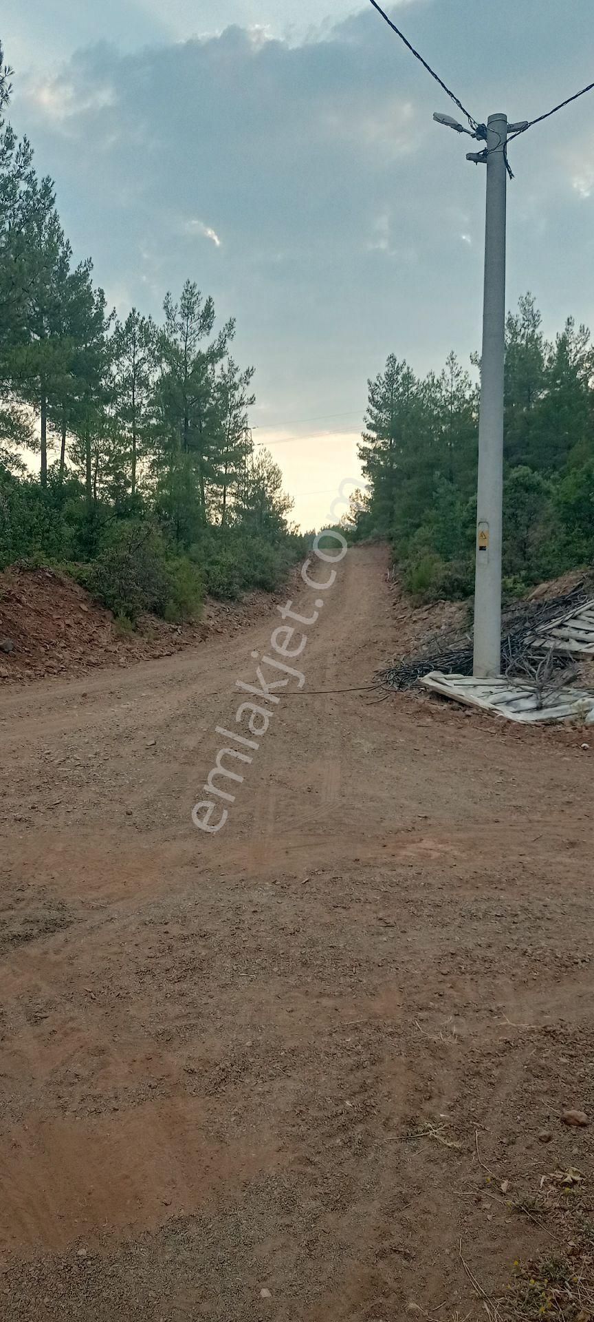 Muğla Dalaman Gürleyik Satılık Müstakil Kiraz Bahçesi Ve Ev - Görsel 21