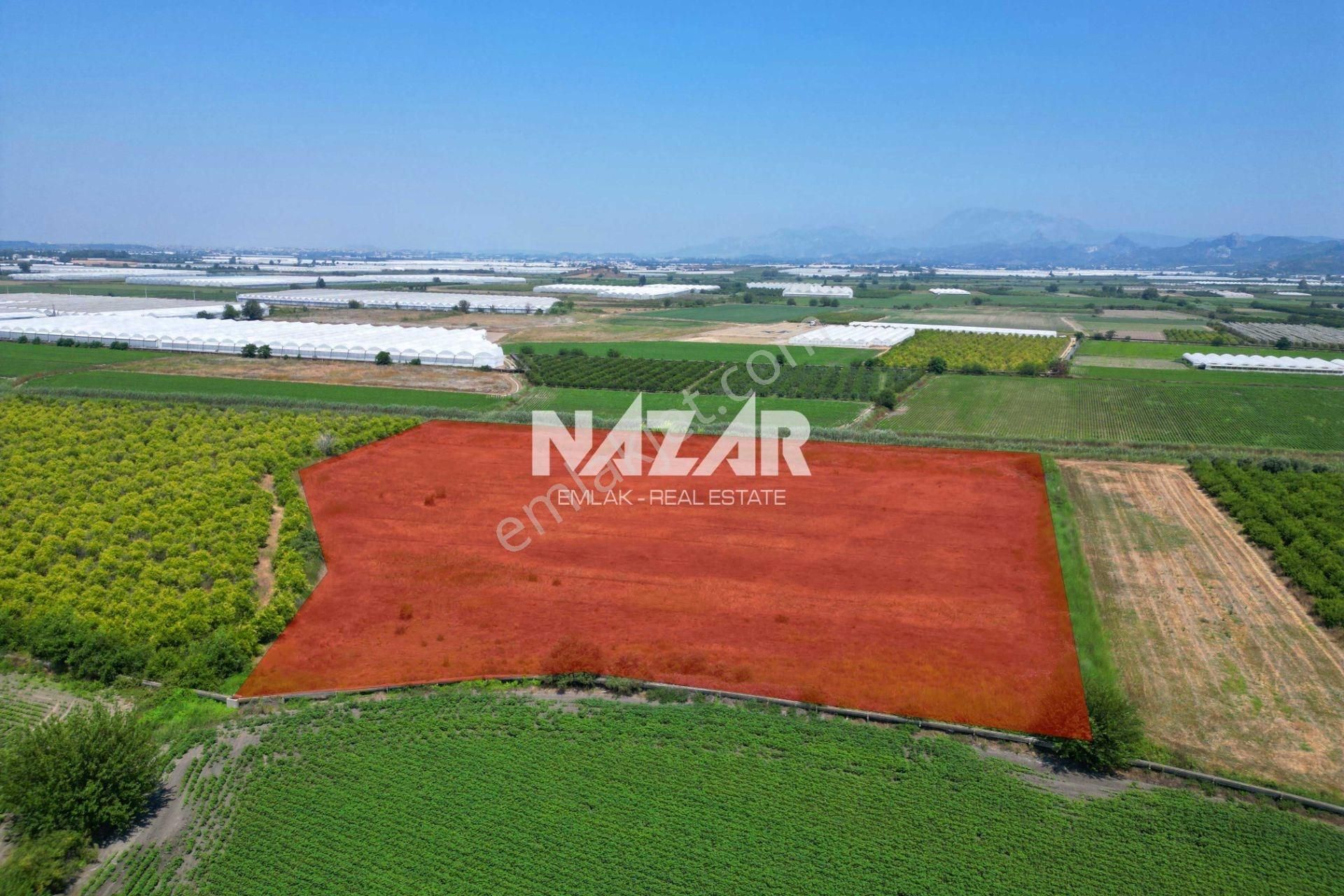 Manavgat Bereket'te 16.804 M² Satılık Tarla - Görsel 5